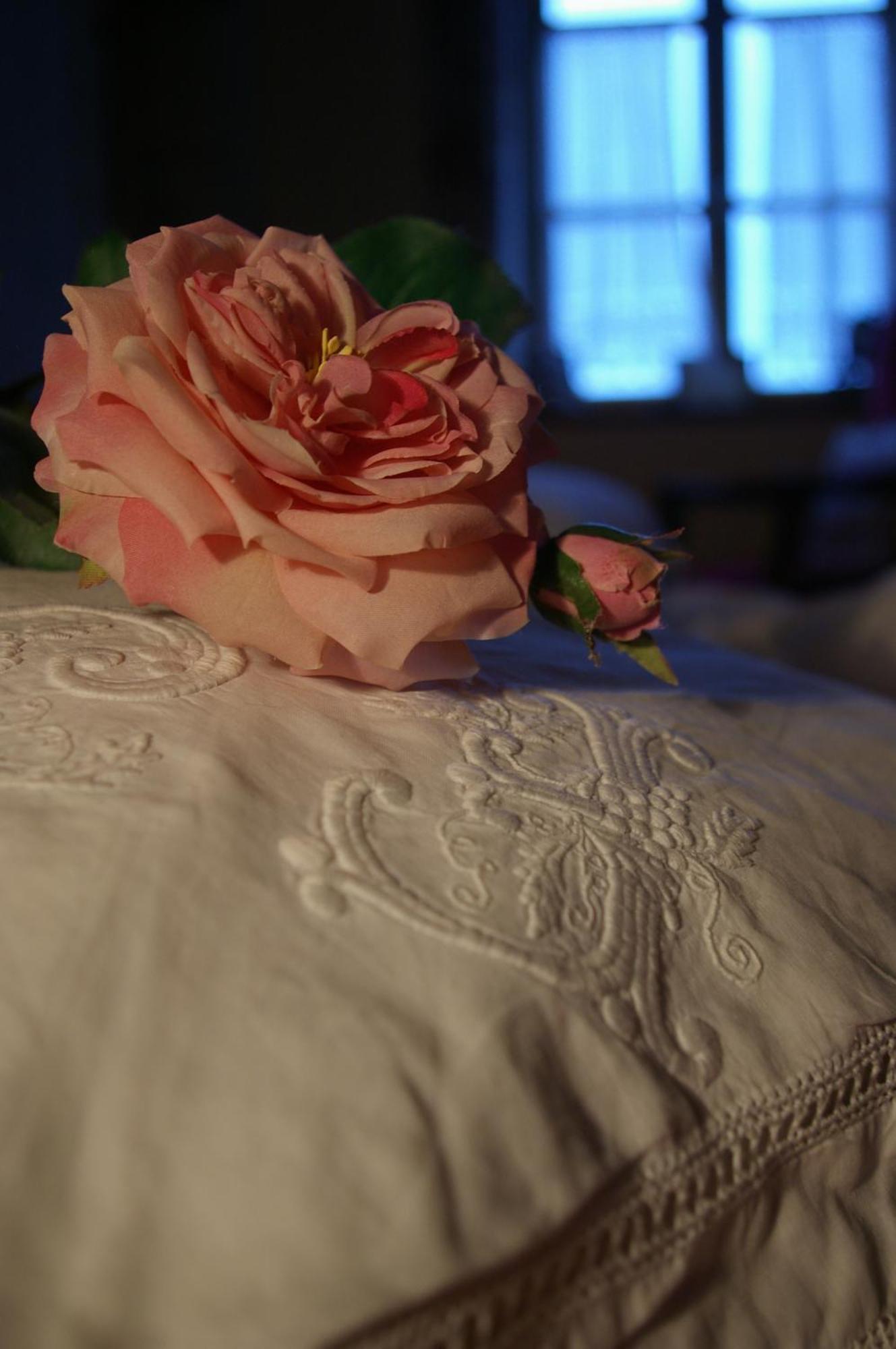 فندق Manoir De Coulandon أرجينتان المظهر الخارجي الصورة