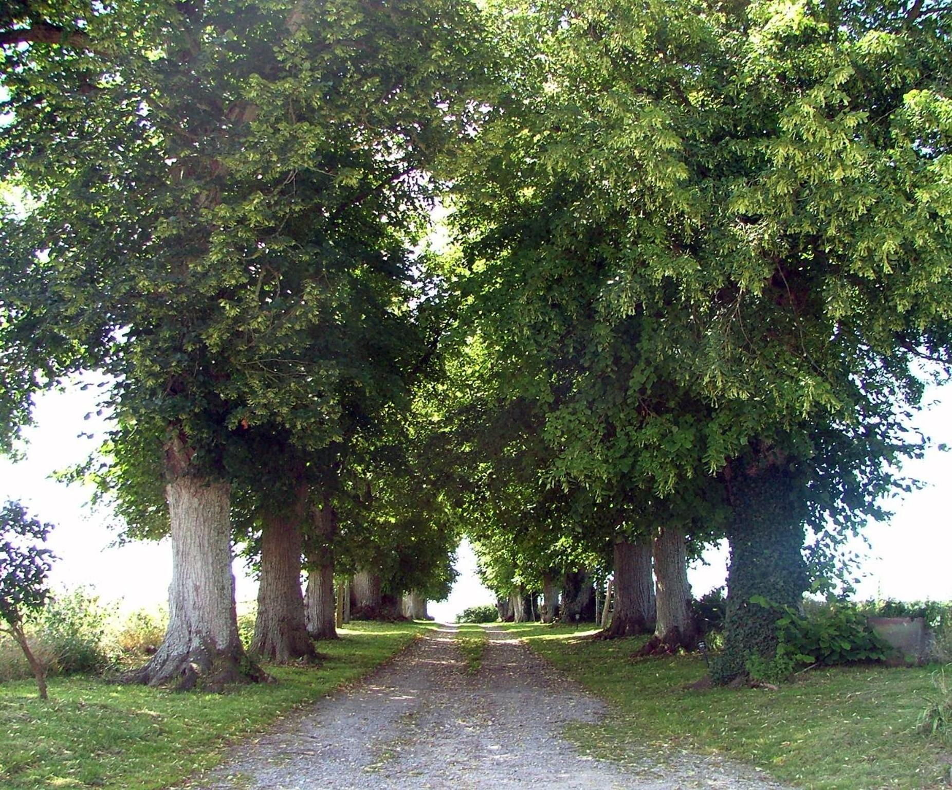 فندق Manoir De Coulandon أرجينتان المظهر الخارجي الصورة